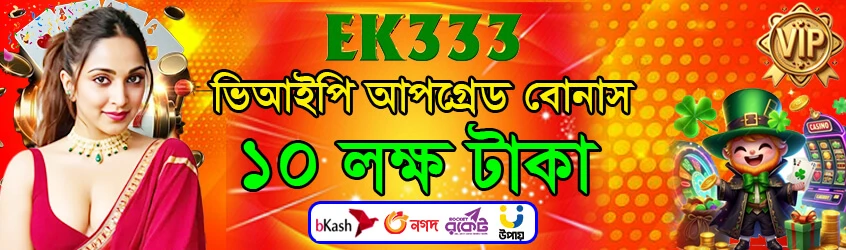 EK333 App